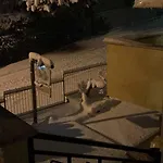Le Sorelle Gemelle Bed & Breakfast Teramo