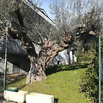 Le Sorelle Gemelle Bed & Breakfast 4*