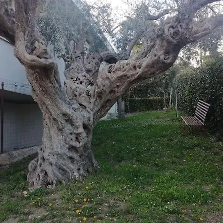 Le Sorelle Gemelle לינה וארוחת בוקר 4*