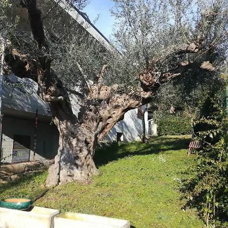 לינה וארוחת בוקר Le Sorelle Gemelle טראמו