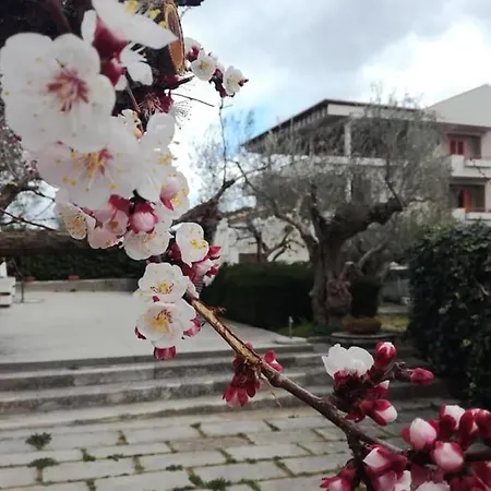 Le Sorelle Gemelle לינה וארוחת בוקר 4*