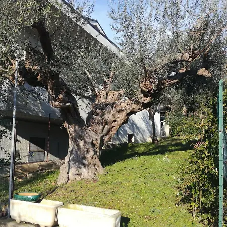Le Sorelle Gemelle Bed & Breakfast *