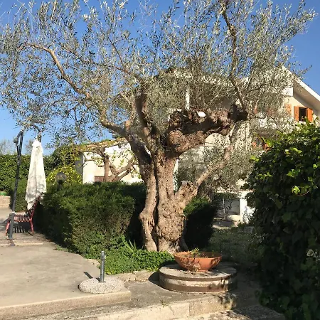 Le Sorelle Gemelle טראמו