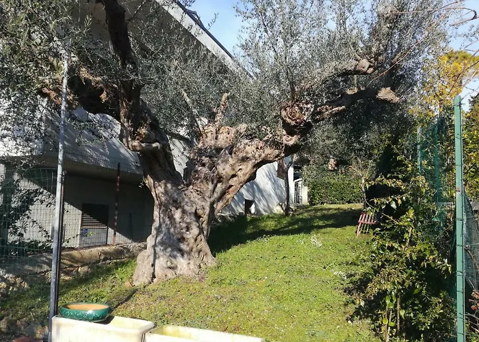 Bed & Breakfast Le Sorelle Gemelle Teramo
