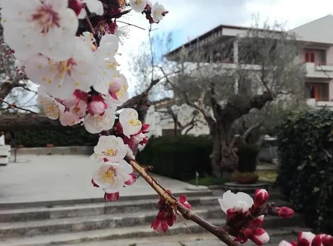 Le Sorelle Gemelle Alojamento de Acomodação e Pequeno-almoço 4*