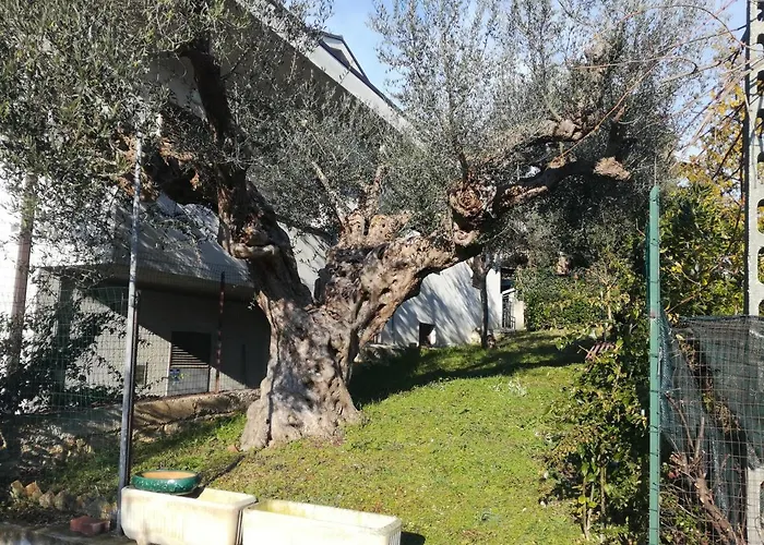 Le Sorelle Gemelle Bed & Breakfast 4*